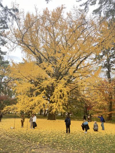 2025.12.3 水曜日 法然院 安楽寺 永観堂 真如堂 仙洞御所