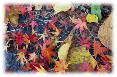 晩秋の山の辺の道を歩く