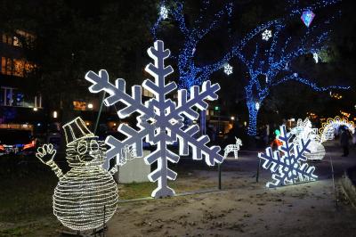 ☆昼×夜2倍楽しむ広島☆ 平和記念公園＆宮島＆平和大通りイルミ満喫の1日【広島・岩国1日目】