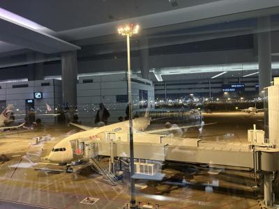 ドイツ・ニーベルングの指輪鑑賞旅行(その1 福岡発上海乗り換え中国東…