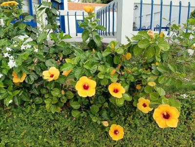 ラズレ リゾート アンド スパ〈2025/11/30〉