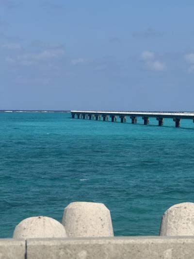 11月の宮古島を満喫!!!