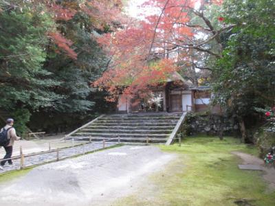 シニアの紅葉最終の京都３泊４日旅　２日目は上賀茂神社からスタート