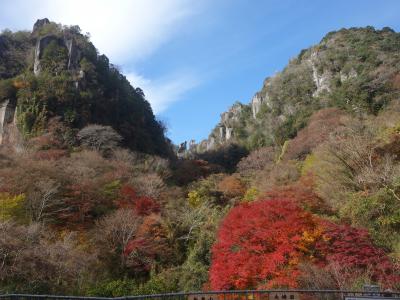 深耶馬渓の一目八景から、山々を見上げる。絶景かな、絶景かな。