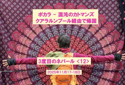 3度目のネパール <12:完結編> カトマンズ(タメル地区・ダルバール広場) -帰国便  2025.11