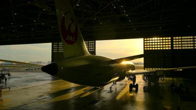 空港見学会に参加してみた