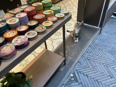 こんな時期ですが2度目の上海へ②田子坊、新天地、豫園