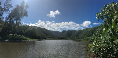 ３年ぶりのハワイ島　ーーー１１日目ーーー