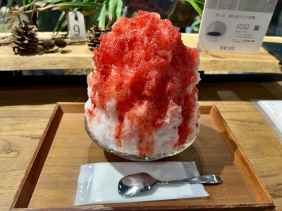 2025年12月韓国鉄道旅行8（羽田空港から帰途）