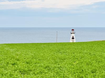 赤毛のアンの島へ｜プリンスエドワード島ロードトリップ