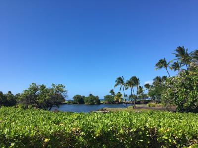 ３年ぶりのハワイ島　ーーー２１日目ーーー