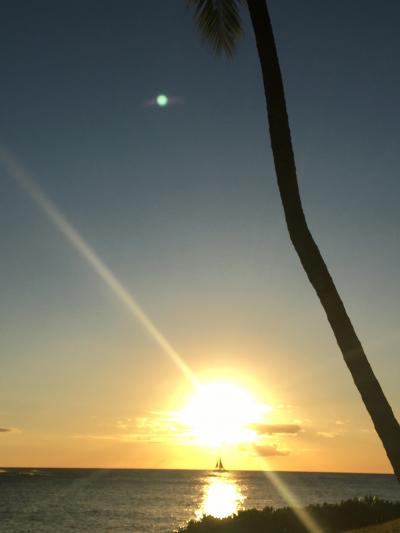 ３年ぶりのハワイ島　ーーー２４日目ーーー