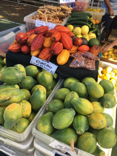 ３年ぶりのハワイ島　ーーー２９日目ーーー