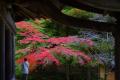 紅葉の厳美渓。最後の蘇民祭を待つ黒石寺逍遥。正法寺からいつくし園へと秋三昧。