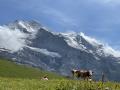 スイスで夏山ハイキング～初心者王道コース　2021年８月（グリンデルワルト編）