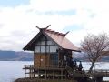 桜満開のはずだった秋田旅～田沢湖編～