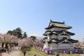 弘前公園（弘前城）で満開の桜を愛でる2024年4月