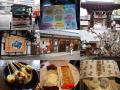 関西ぶらり旅（６）おこしバス（京都定期観光バス）【神様☆7カラーズ】で開運神社巡り