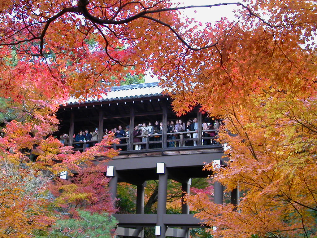 京都東福寺の紅葉 京都の旅行記 ブログ By Rakuenblueさん フォートラベル 京都東福寺の紅葉 京都の旅行記 ブログ By Rakuenblueさん フォートラベル