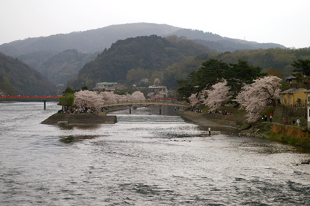 京都１０ 宇治川の桜と舟あそび 宇治 京都 の旅行記 ブログ By どーもくんさん フォートラベル