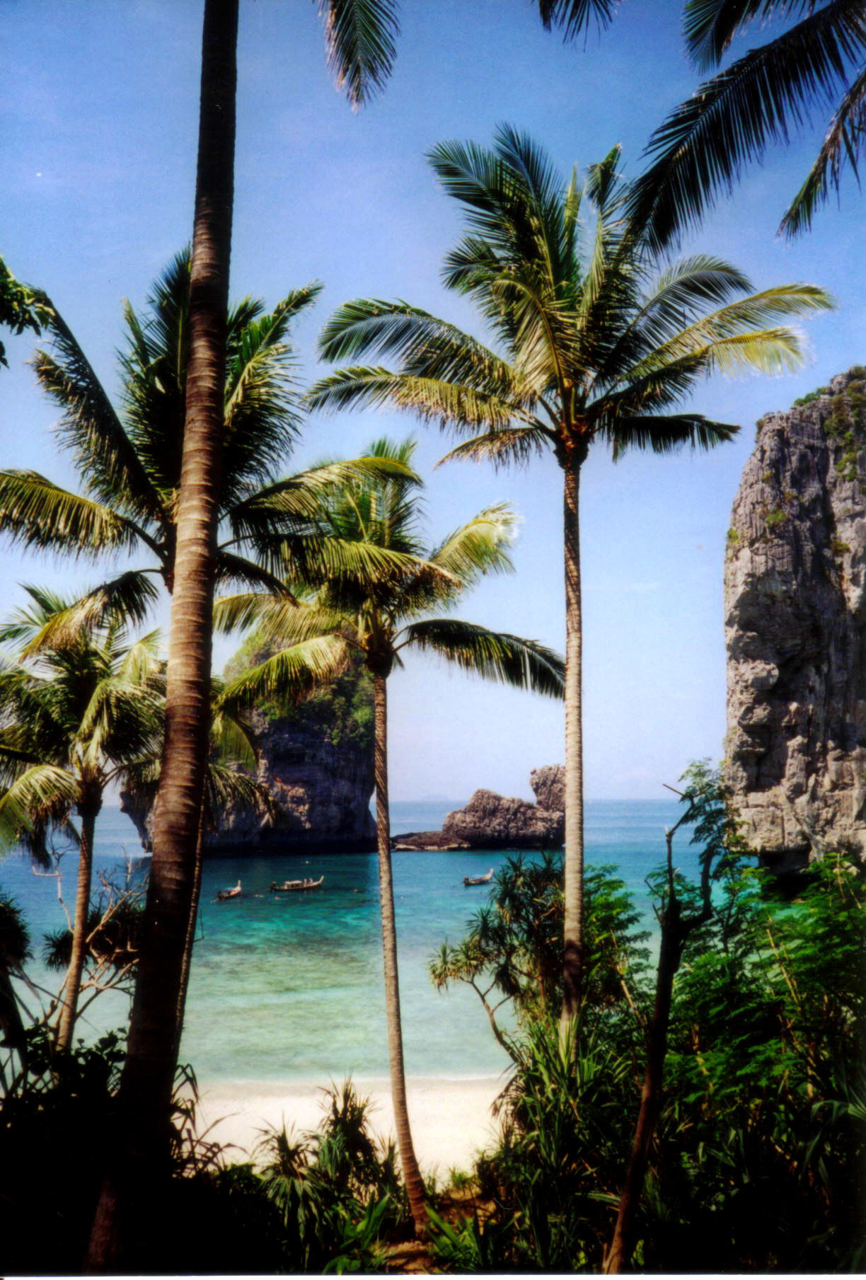 krabi phiphi クラビ ピピ島 スミラン諸島 島めぐりの旅2001 ピピ島 タイ の旅行記 ブログ By J Ryuさん フォートラベル krabi phiphi クラビ ピピ島 スミラン諸島 島めぐりの旅2001 ピピ島 タイ の旅行記 ブログ By J Ryuさん フォートラベル