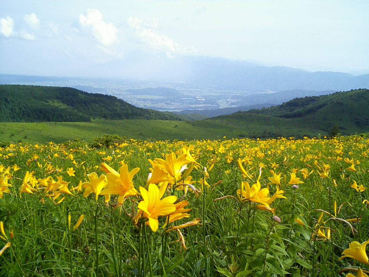 17 July 05 霧ヶ峰 車山 日帰り旅行 ニッコウキスゲ 白樺湖 蓼科 車山 長野県 の旅行記 ブログ By Ittsuan123jpさん フォートラベル 17 July 05 霧ヶ峰 車山 日帰り旅行 ニッコウキスゲ 白樺湖 蓼科 車山 長野県 の旅行記 ブログ By Ittsuan123jpさん フォートラベル