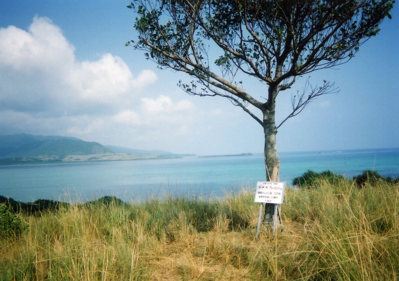 ２００１年 小浜島ちゅらさんロケ隊追っかけの旅 小浜島 沖縄県 の旅行記 ブログ By Emuさん フォートラベル