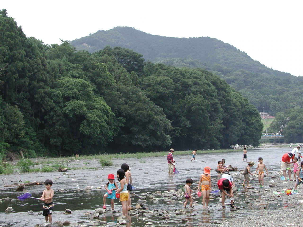 巾着田と日和田山 日高 鶴ヶ島 坂戸 埼玉県 の旅行記 ブログ By どーもくんさん フォートラベル