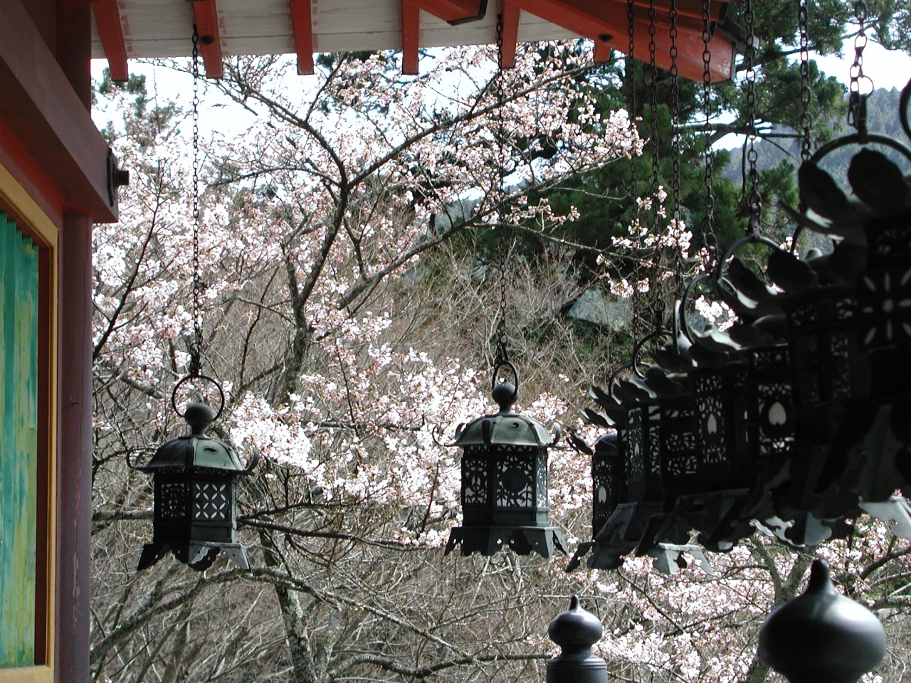 奈良 談山神社から甘樫の丘へ 1 飛鳥 奈良県 の旅行記 ブログ By どーもくんさん フォートラベル 奈良 談山神社から甘樫の丘へ 1 飛鳥 奈良県 の旅行記 ブログ By どーもくんさん フォートラベル