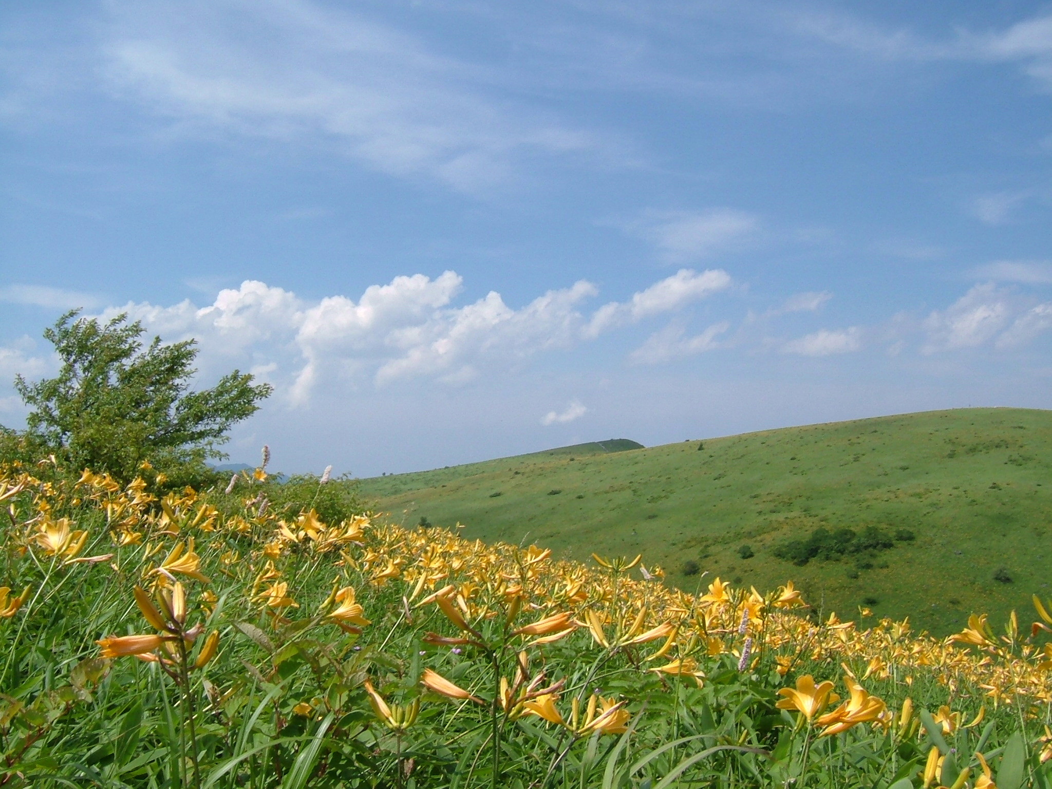 車山高原 長野県の旅行記 ブログ By みそにこみさん フォートラベル 車山高原 長野県の旅行記 ブログ By みそにこみさん フォートラベル
