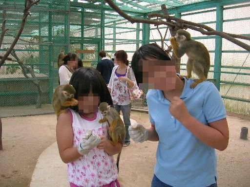 予想を超えた動物とのふれあい 東北サファリパーク 二本松 福島県 の旅行記 ブログ By むんさん フォートラベル
