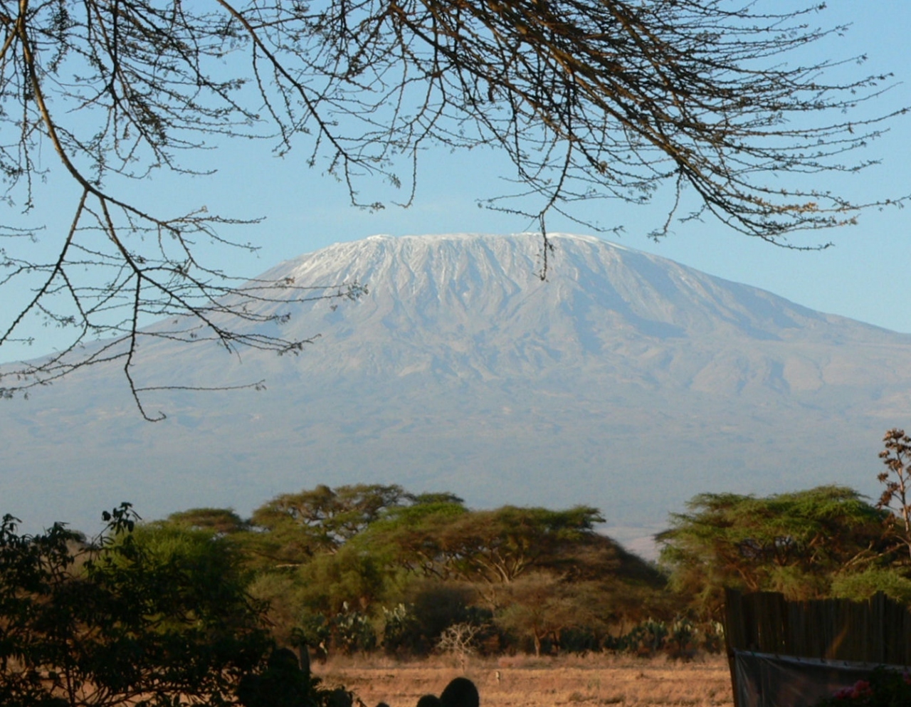 ケニアの旅（２）・・マサイ族とアンボセリのサファリとアフリカ最高峰キリマンジャロを訪ねて