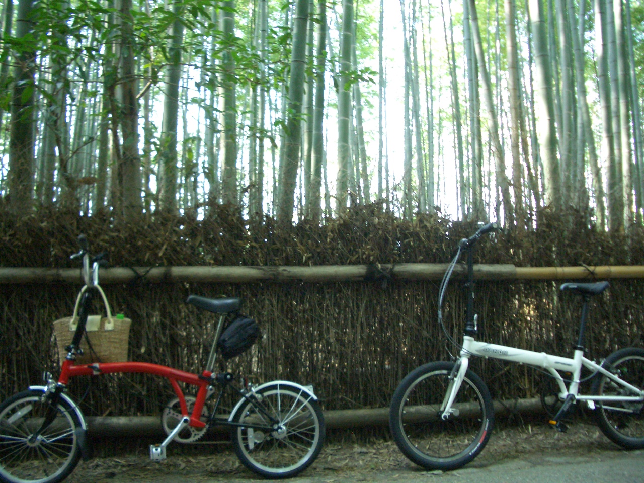 自転車 嵐山