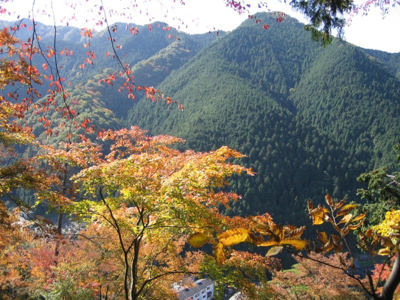 133金剛山 河内長野 大阪 の旅行記 ブログ By ひらけんさん フォートラベル