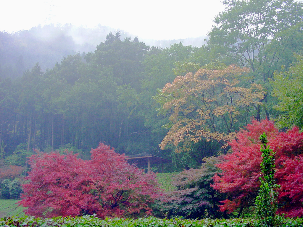 グルッと山陽から山陰 紅葉三昧のドライブの旅 宇甘渓から蒜山高原編 岡山県の旅行記 ブログ By Alcatさん フォートラベル