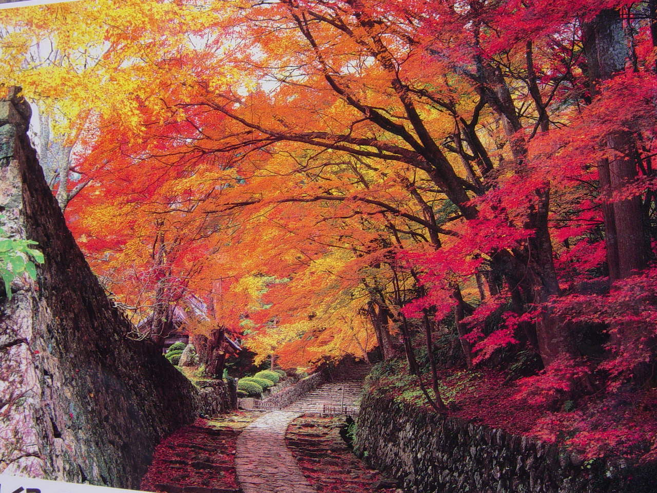紅葉を求めて 湖東三山 滋賀県の旅行記 ブログ By Hn11さん フォートラベル