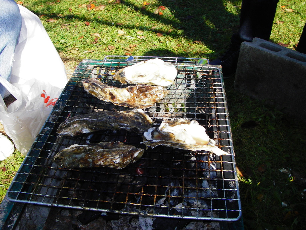 厚岸牡蠣祭り 北海道の旅行記 ブログ By 北大ユースホステルクラブさん フォートラベル