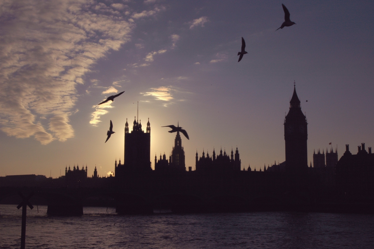 美しい１２月のロンドン バッキンガム ウェストミンスター宮殿他 ロンドン イギリス の旅行記 ブログ By 招き猫さん フォートラベル