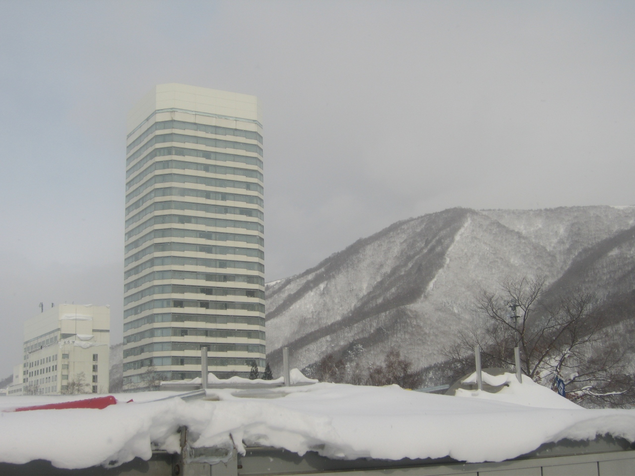子供達と雪遊び In苗場 苗場 新潟県 の旅行記 ブログ By Mamaさん フォートラベル