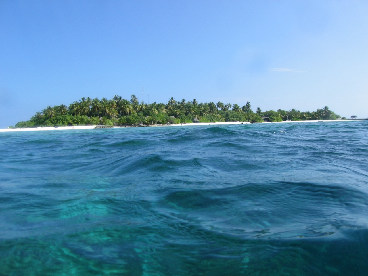 『元気をくれる島Makunudu~ハウスリーフもお魚パラダイス~』北マーレ環礁(モルディブ)の旅行記・ブログ by tidaさん【フォートラベル】