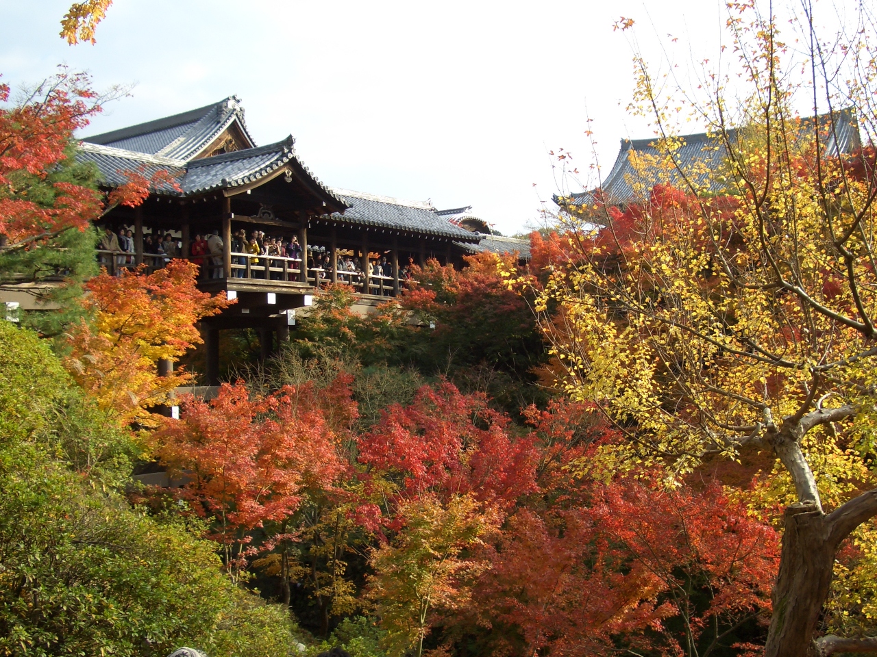 東福寺 伏見稲荷 圓徳院 清水寺 京の紅葉 京都駅周辺 京都 の旅行記 ブログ By ステッチさん フォートラベル