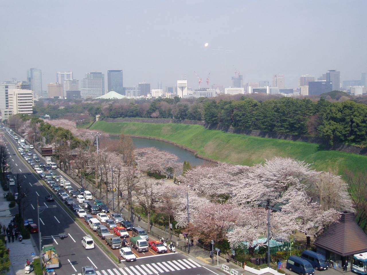 あっという間に満開 半蔵門の桜 四ツ谷 東京 の旅行記 ブログ By Haraboさん フォートラベル