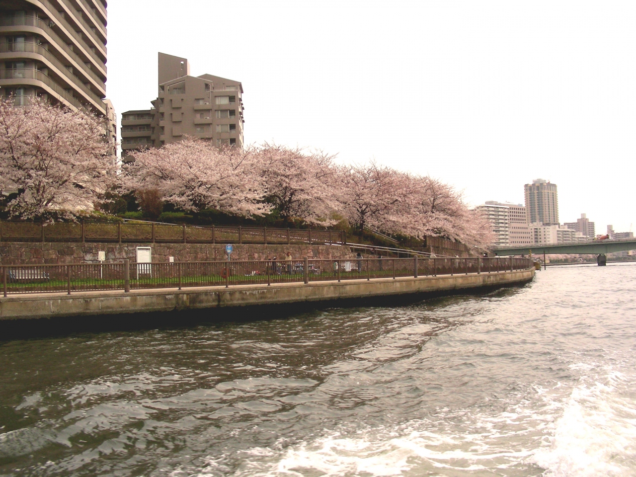 汐留の浜離宮から水上バスで浅草へ 浅草 東京 の旅行記 ブログ By M1さん フォートラベル