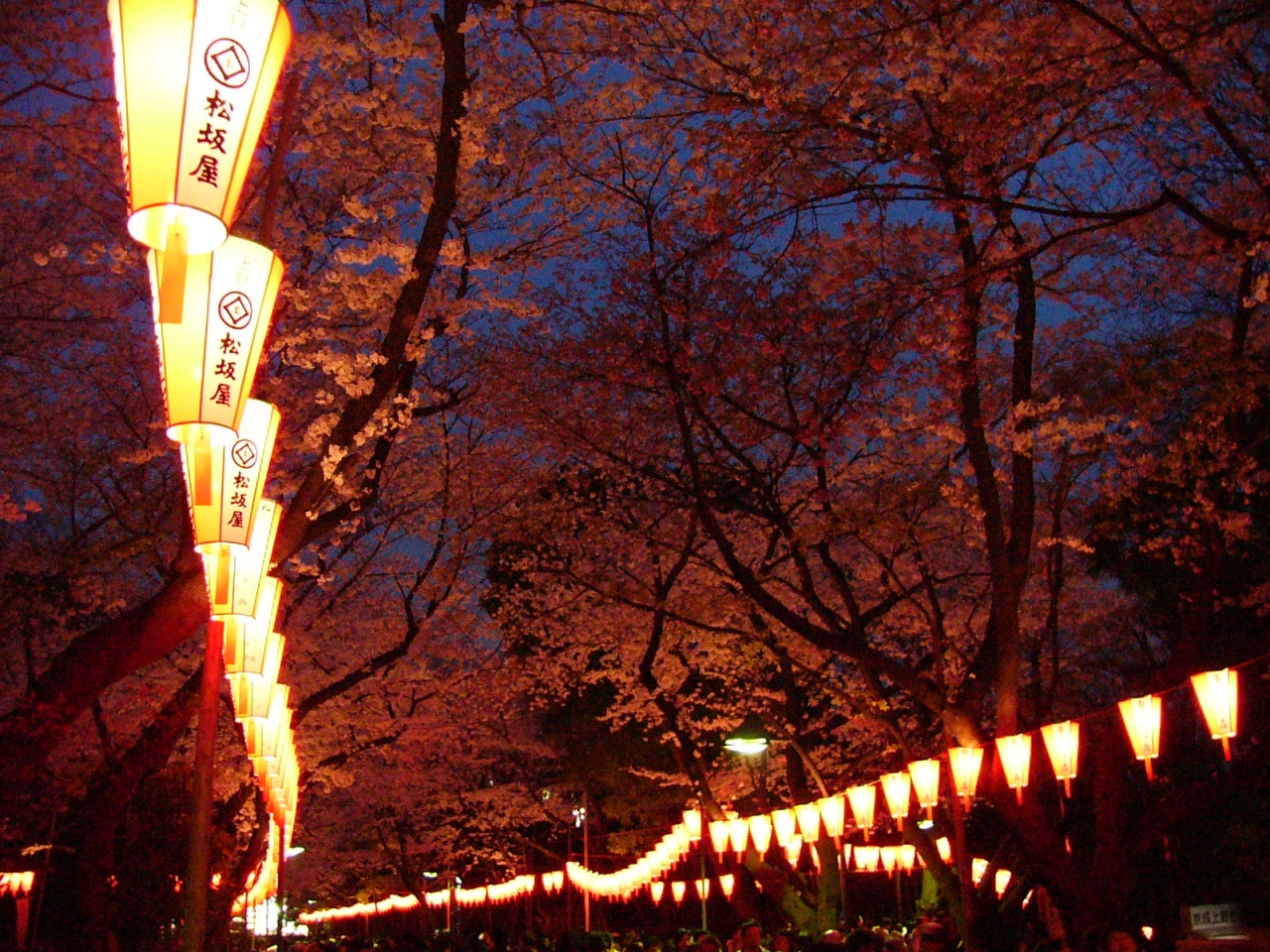 上野公園で夜桜見物 上野 御徒町 東京 の旅行記 ブログ By Ittsuan123jpさん フォートラベル