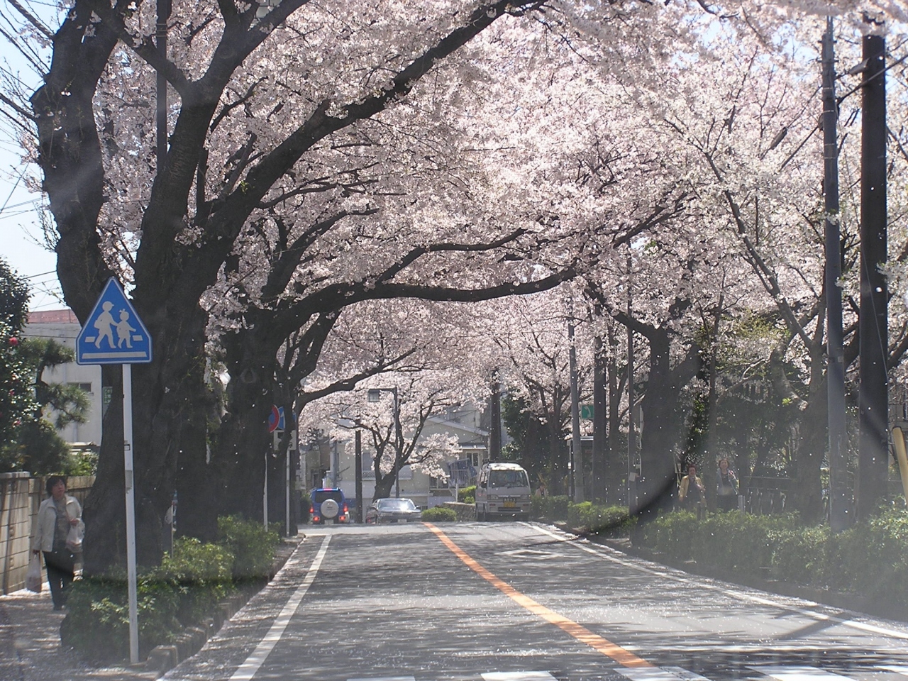 横浜 三ツ境付近の桜 神奈川県の旅行記 ブログ By Tsunetaさん フォートラベル 横浜 三ツ境付近の桜 神奈川県の旅行記 ブログ By Tsunetaさん フォートラベル