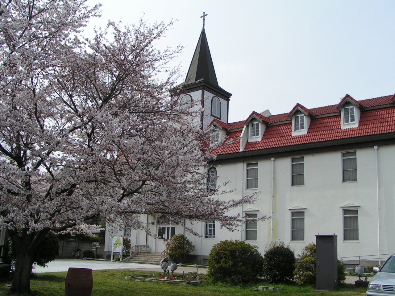 やきものの町多治見の教会で花見をしました 多治見 岐阜県 の旅行記 ブログ By わやんさん フォートラベル
