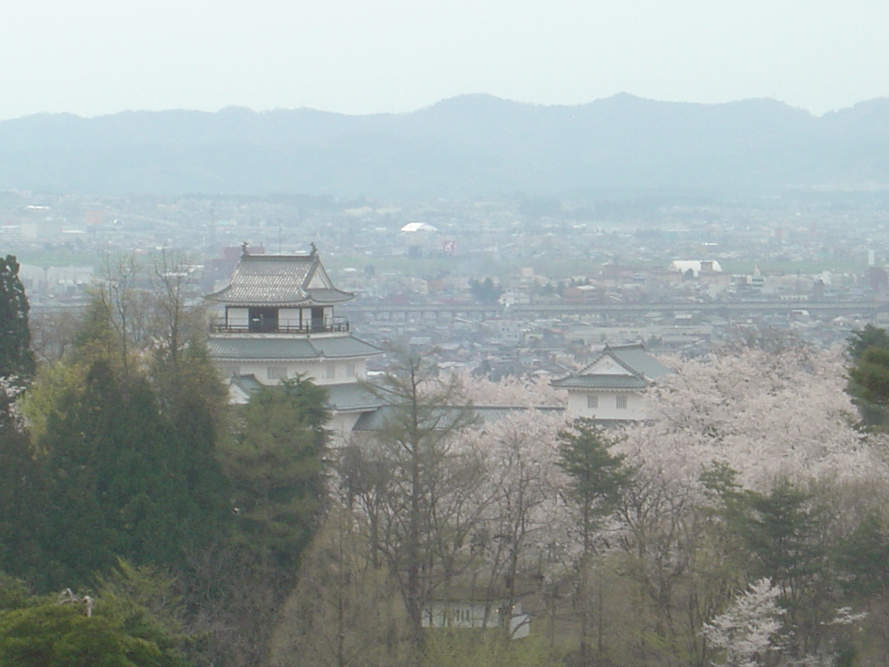 中越地震の傷跡が残る 悠久山公園 と 香林寺のしだれ桜 長岡 寺泊 新潟県 の旅行記 ブログ By ひょんひょんさん フォートラベル 中越地震の傷跡が残る 悠久山公園 と 香林寺のしだれ桜 長岡 寺泊 新潟県 の旅行記 ブログ By ひょんひょんさん フォートラベル