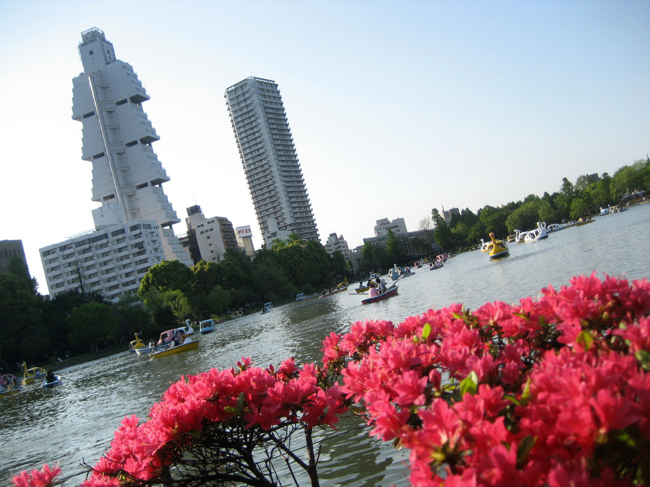 『何十回と訪れて、初めてまともに歩いた上野公園その2：不忍池』上野・御徒町(東京)の旅行記・ブログ by まみさん【フォートラベル】