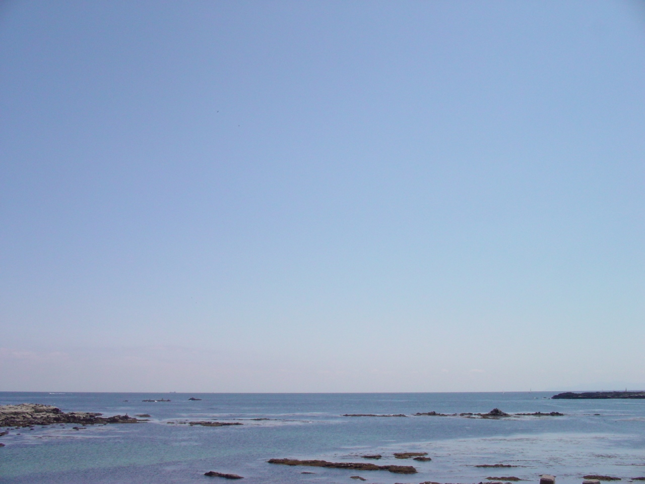 三浦半島日帰りドライブ 三浦海岸 三崎 神奈川県 の旅行記 ブログ By Cafespicalさん フォートラベル