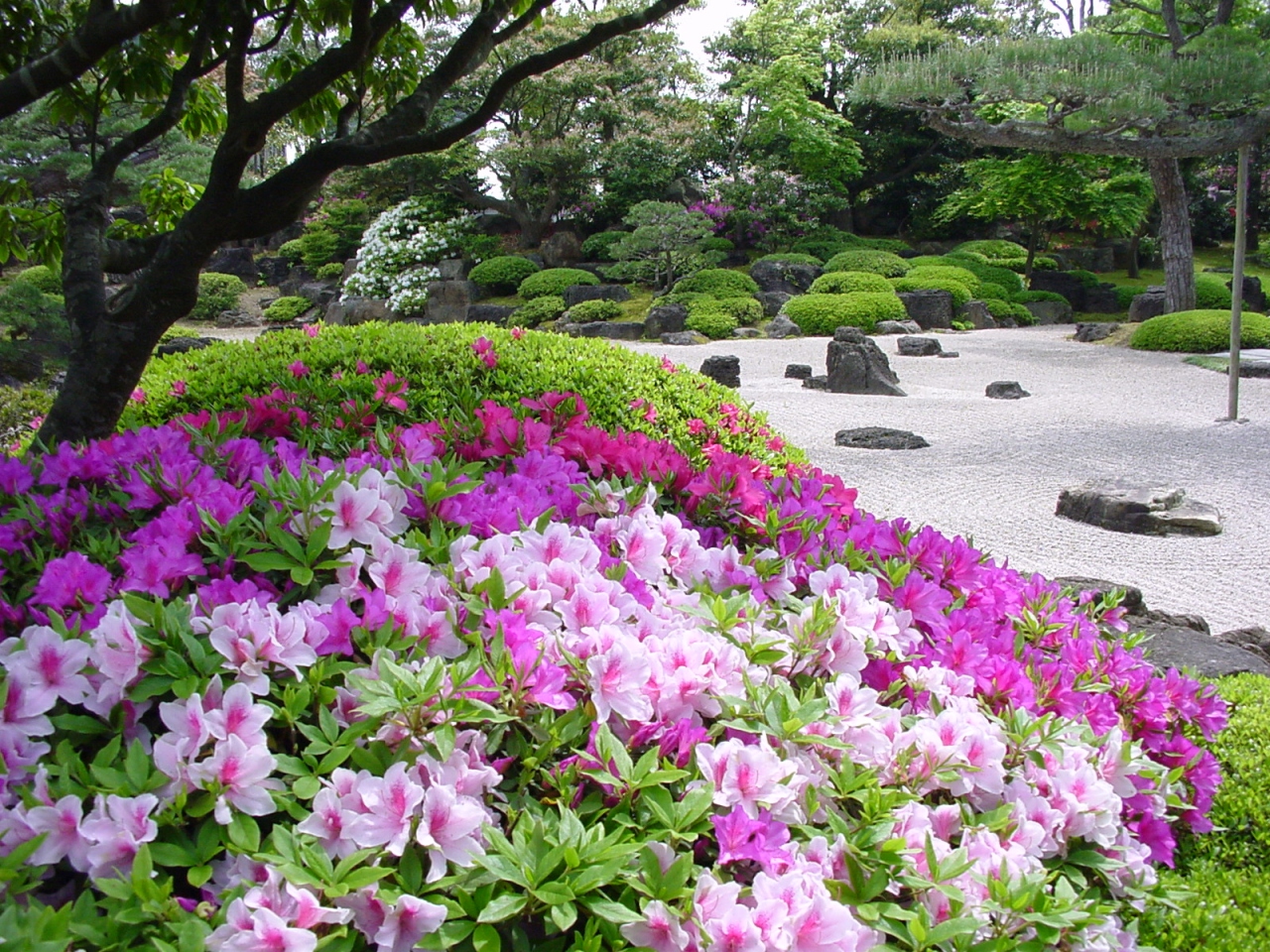 Gw明けの松江の旅 後編 島根県の旅行記 ブログ By Alcatさん フォートラベル